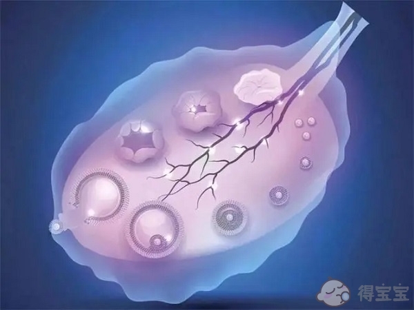 惠州借腹生子中介-这些女性应优先考虑试管婴儿