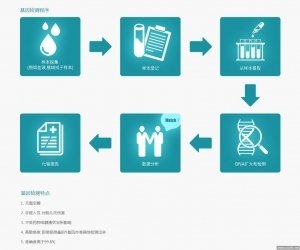 保定助孕公司信息-哪里可以得到性别鉴定验证的