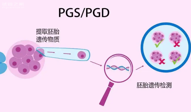 哈尔滨试管婴儿助孕生子-2022年内蒙古呼和浩特第